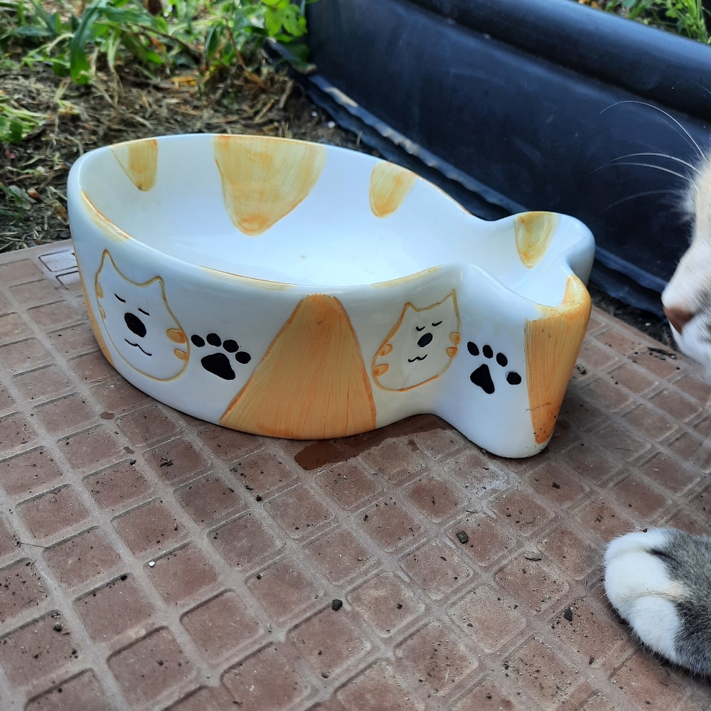 Ceramic pet dish